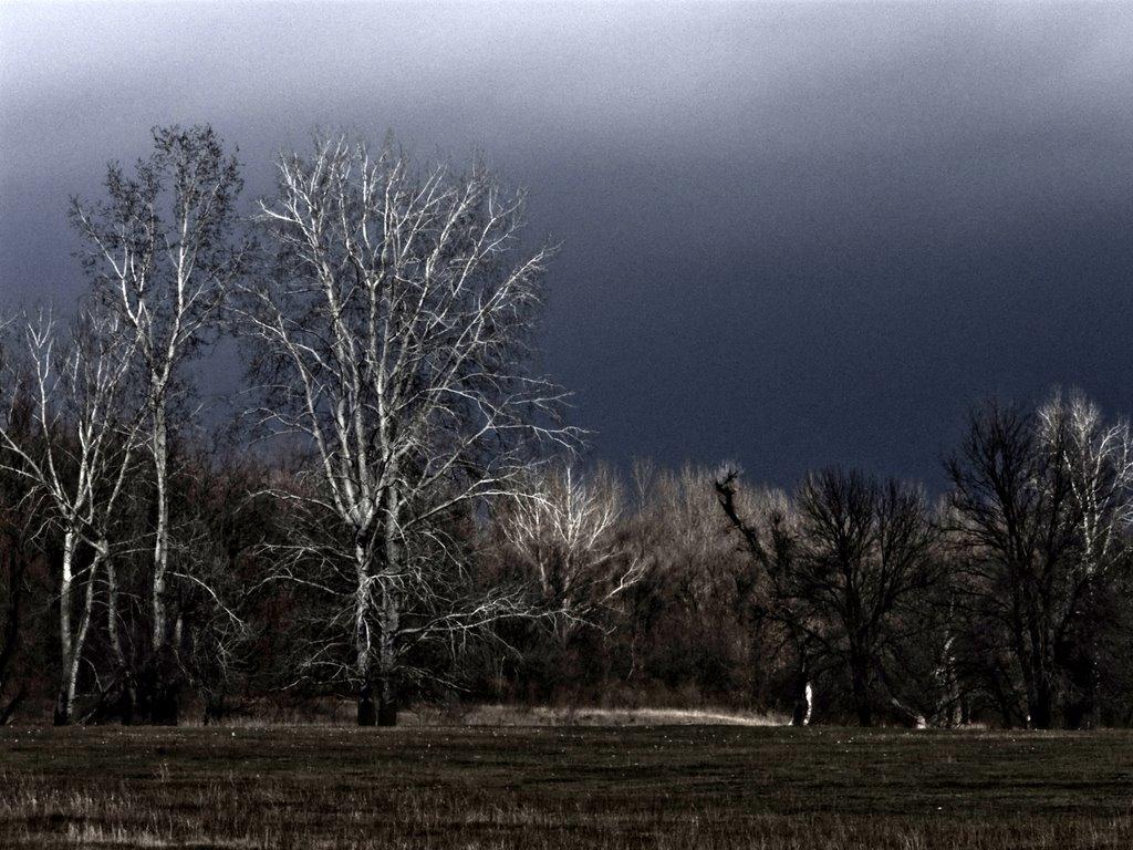 Слов'яносербськ з panoramio.com - Слов'яносербськ