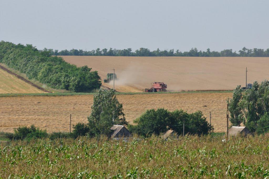Балашівка з panoramio.com - Балашівка