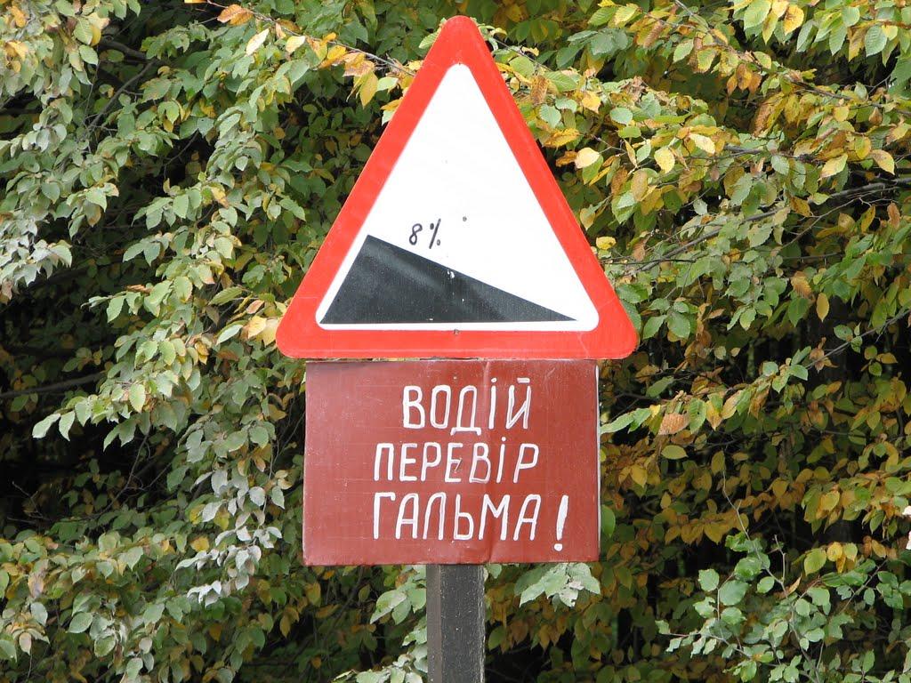 Вівся з panoramio.com - Вився