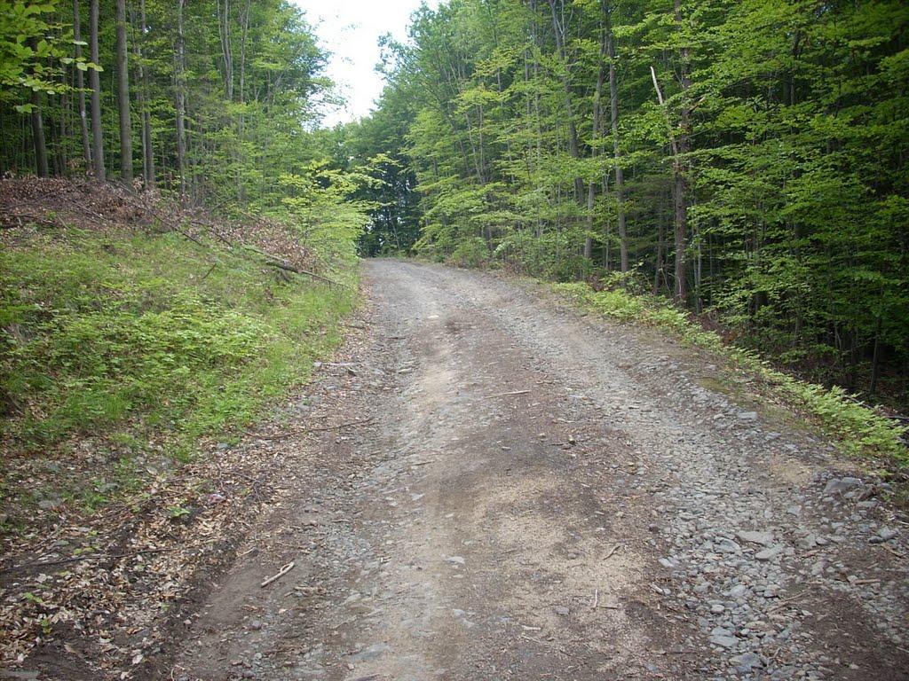 Кам'яниця з panoramio.com - Каменица