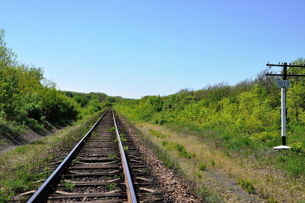 Самсонівка з panoramio.com