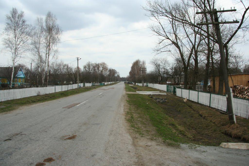 Середи з panoramio.com - Середи