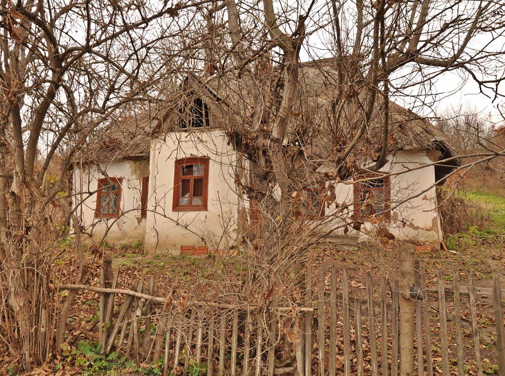 Мирони з panoramio.com - Мироны