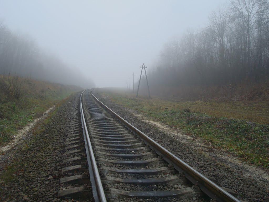 Томашівка з panoramio.com - Томашівка