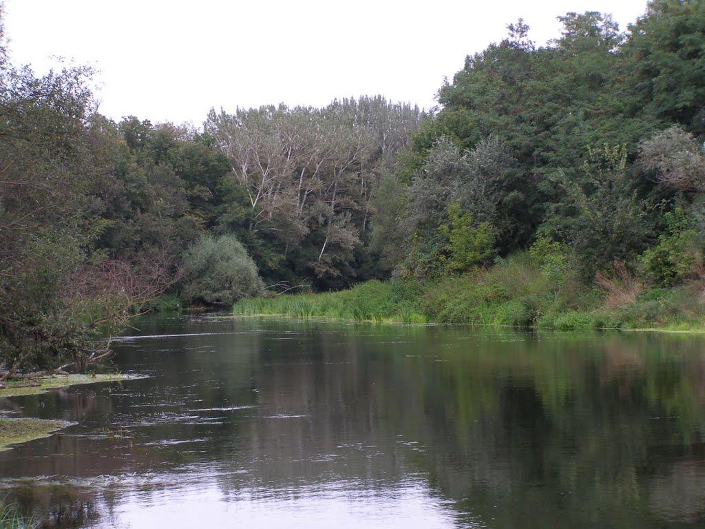 Червона Гусарівка з panoramio.com - Chervona Gusarivka