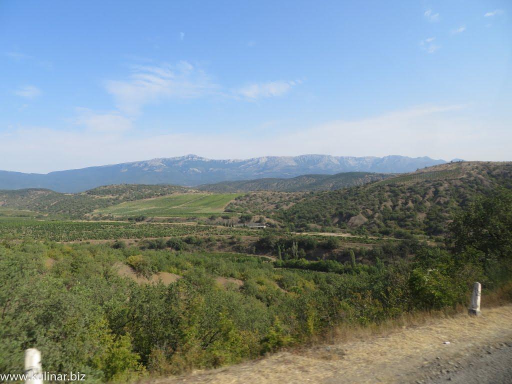 Сонячногірське з panoramio.com - Солнечногорское