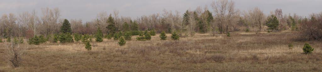 Кряківка з panoramio.com - Кряковка