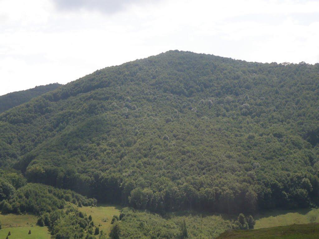 Березники з panoramio.com - Березники