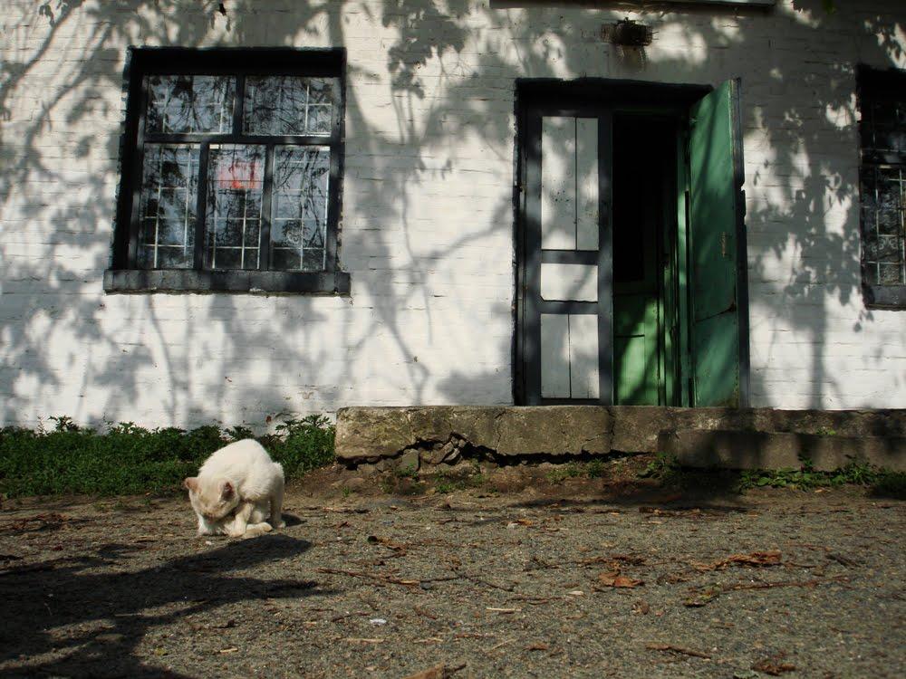 Пришивальня з panoramio.com - Пришивальня