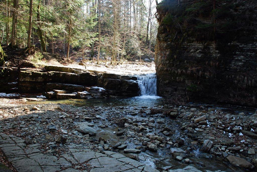 Кричка з panoramio.com - Кричка