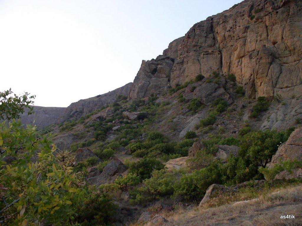 Багатівка з panoramio.com - Богатовка
