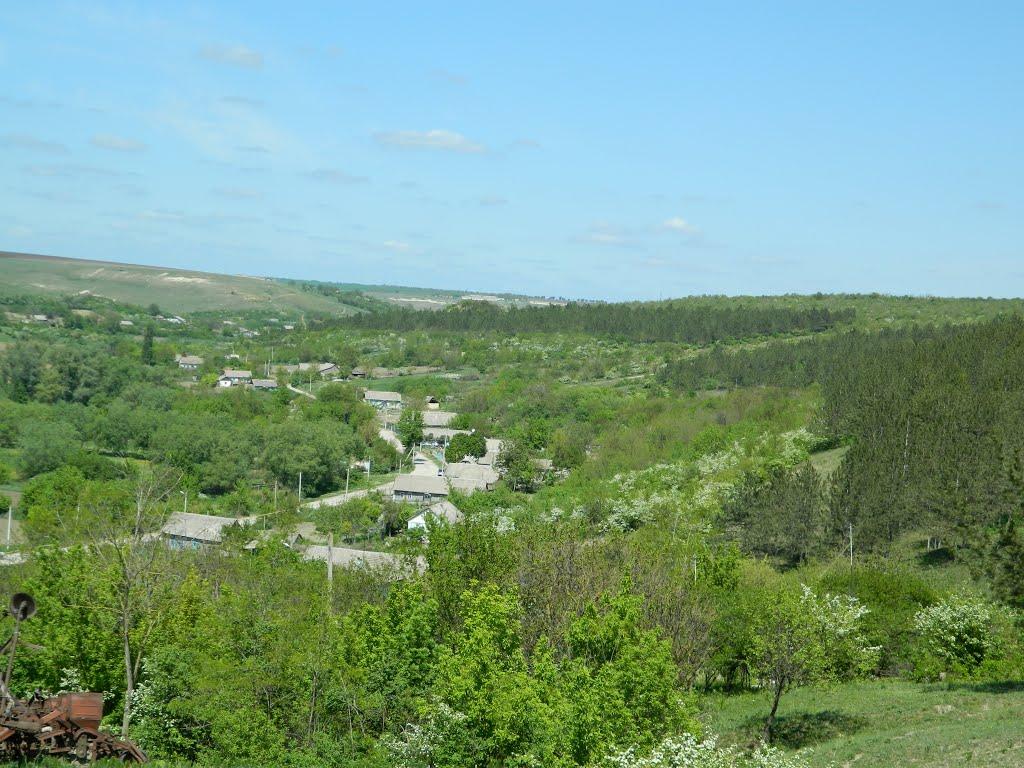 Дубове з panoramio.com - Дубове