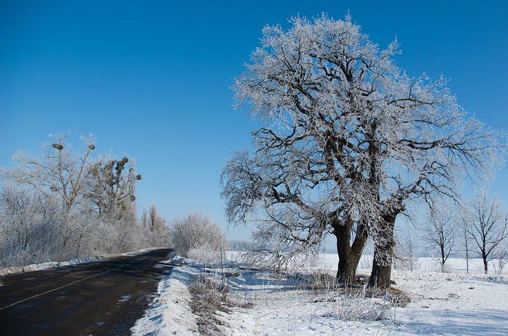 Верхнячка з panoramio.com - Verkhnyachka