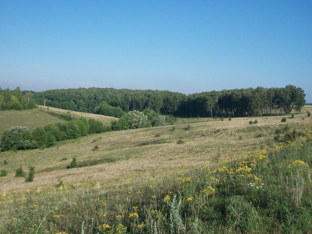 Кинашове з panoramio.com - Kynashove