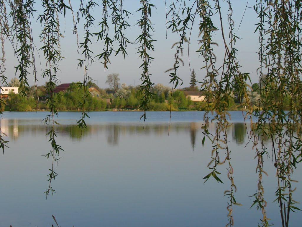 Вороніж з panoramio.com - Вороніж