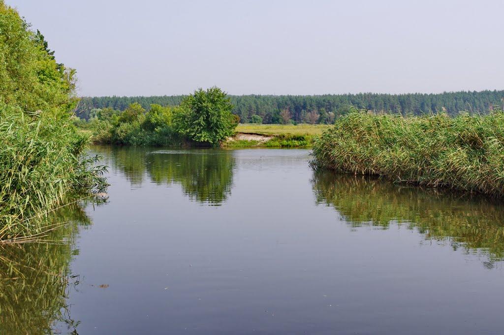 Кицівка з panoramio.com - Кицівка