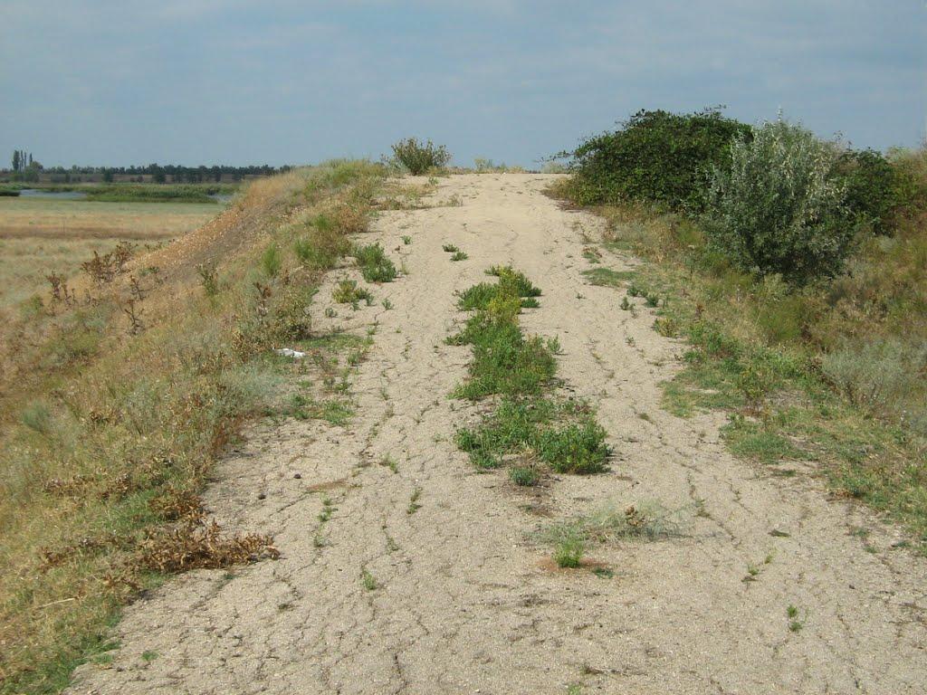 Руч'ї з panoramio.com - Ручьи