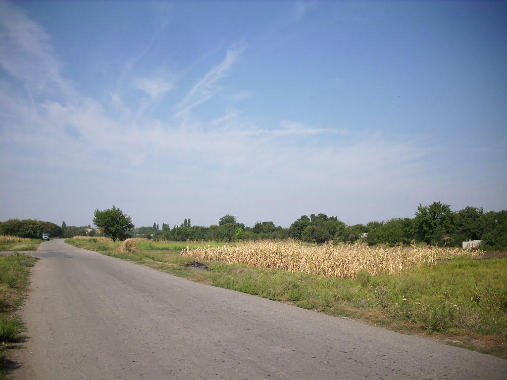 Петро-Михайлівка з panoramio.com - Петро-Михайлівка