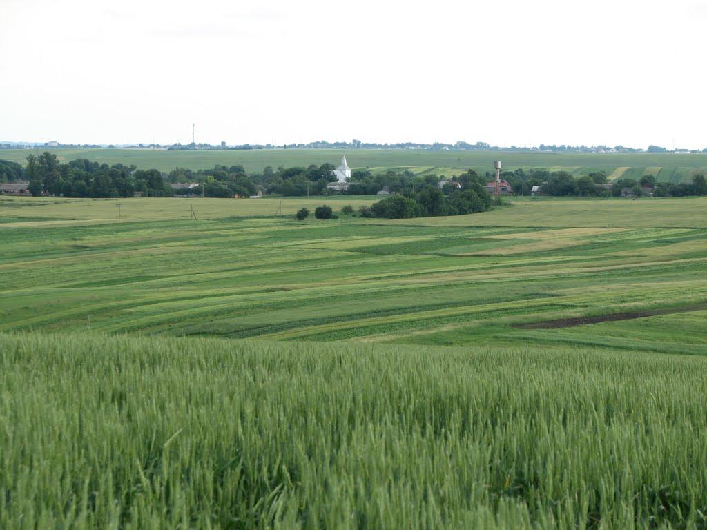 Хорів з panoramio.com - Хорів