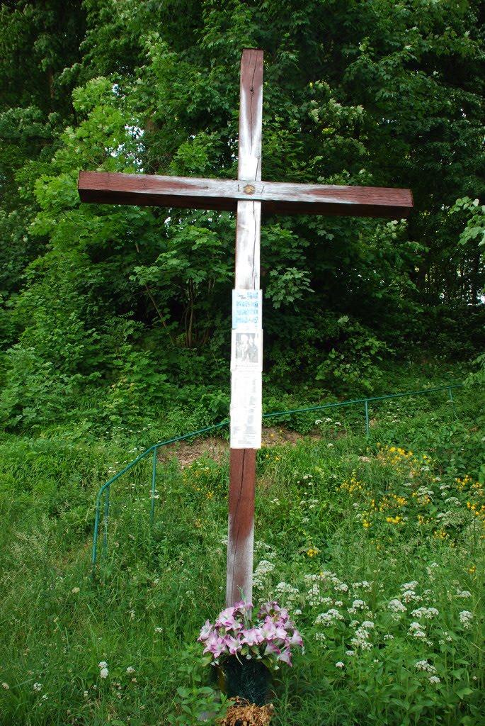 Підгірці з panoramio.com - Подгорцы