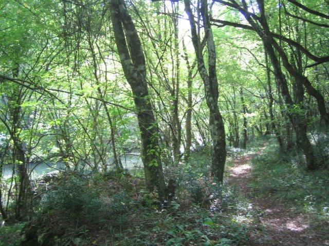 Гончарне з panoramio.com - Гончарне