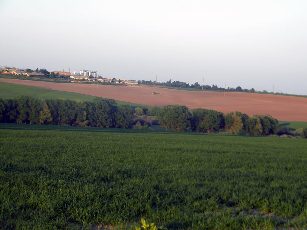 Слобода-Шаргородська з panoramio.com - Слобода-Шаргородська