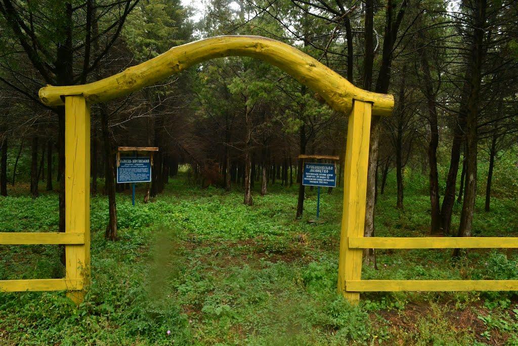 Куйбишеве з panoramio.com - Куйбишеве