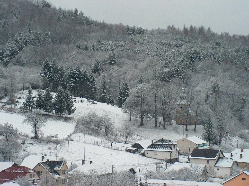 Завосина з panoramio.com (ч.2) - Завосина