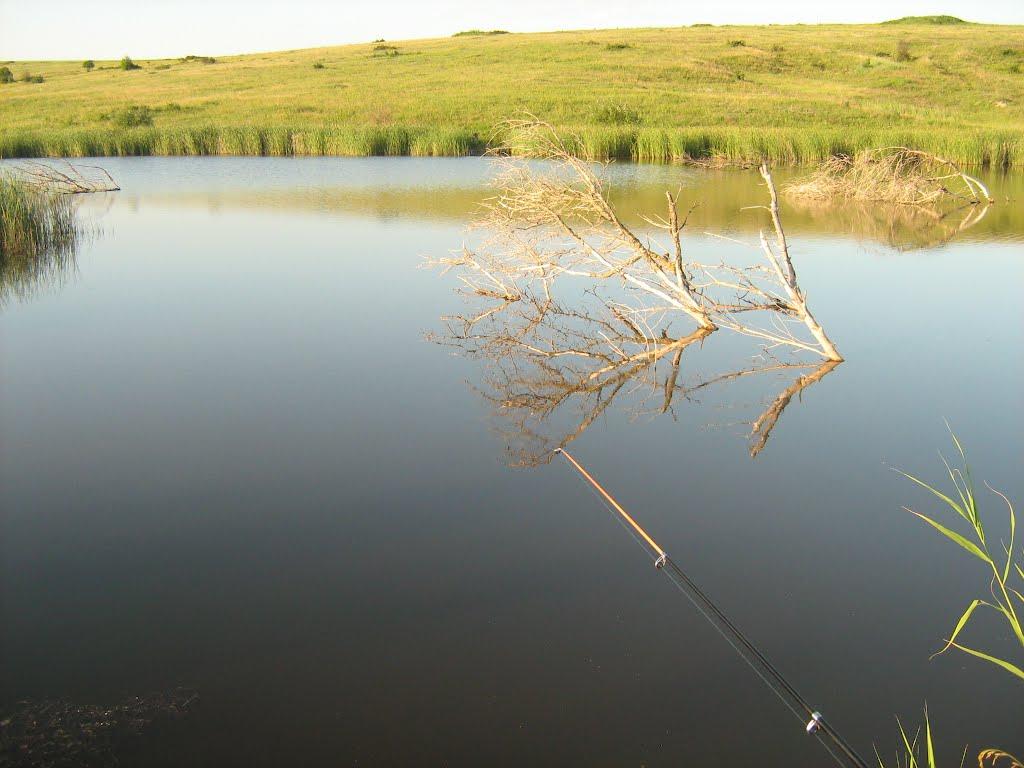 Аношкине з panoramio.com - Аношкине