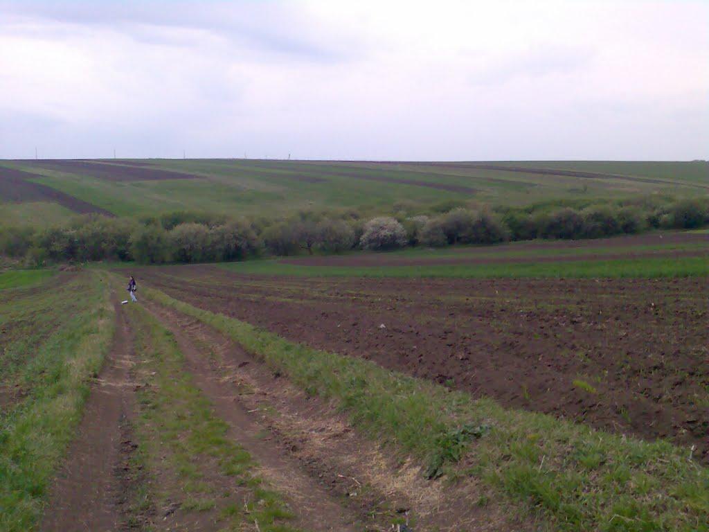 Ворвулинці з panoramio.com - Ворвулинцы