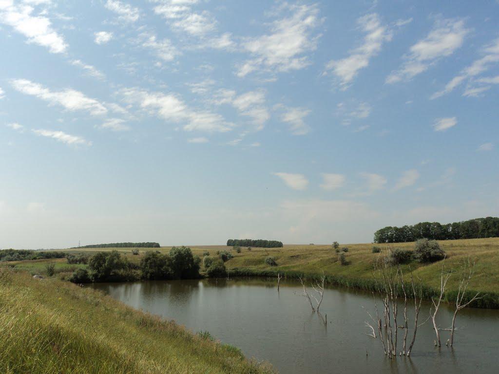 Кам'яна Яруга з panoramio.com - Кам'яна Яруга