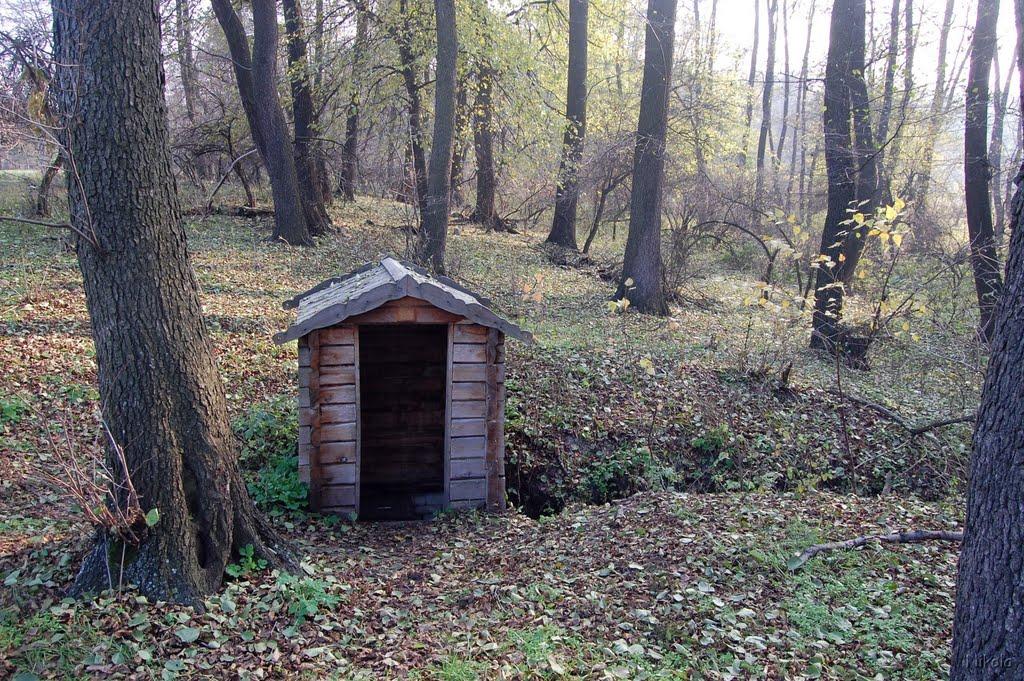 Осколонівка з panoramio.com - Осколонівка