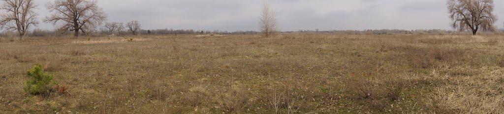 Кряківка з panoramio.com - Кряковка