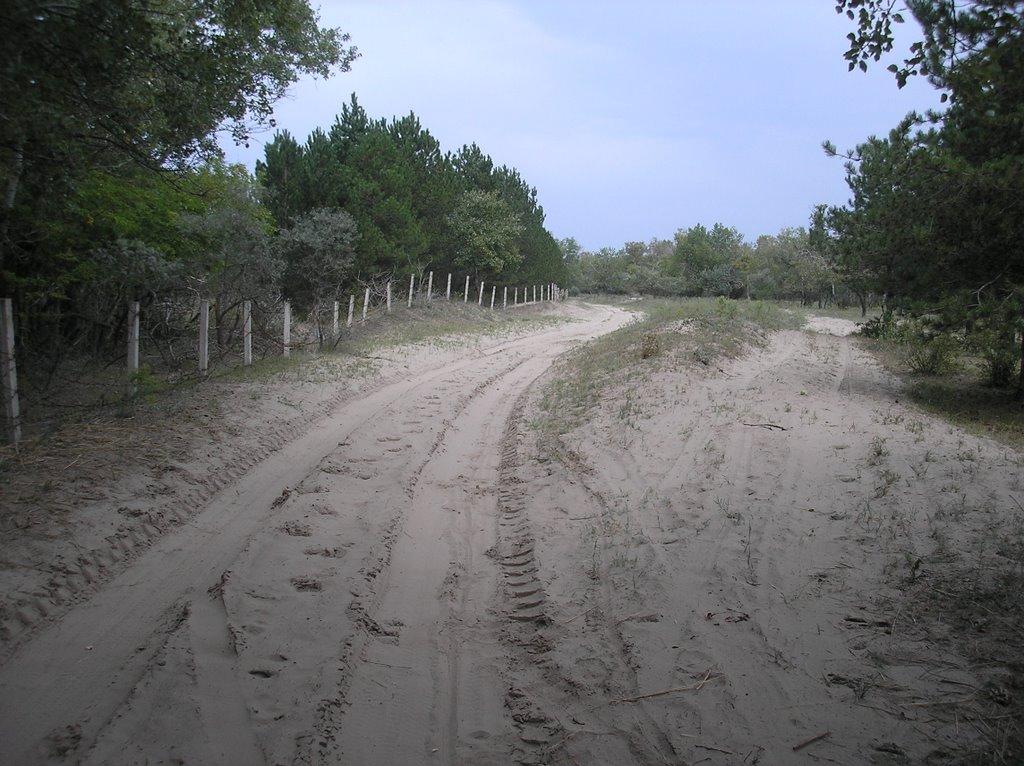 Вилкове з panoramio.com (ч.2) - Vylkove