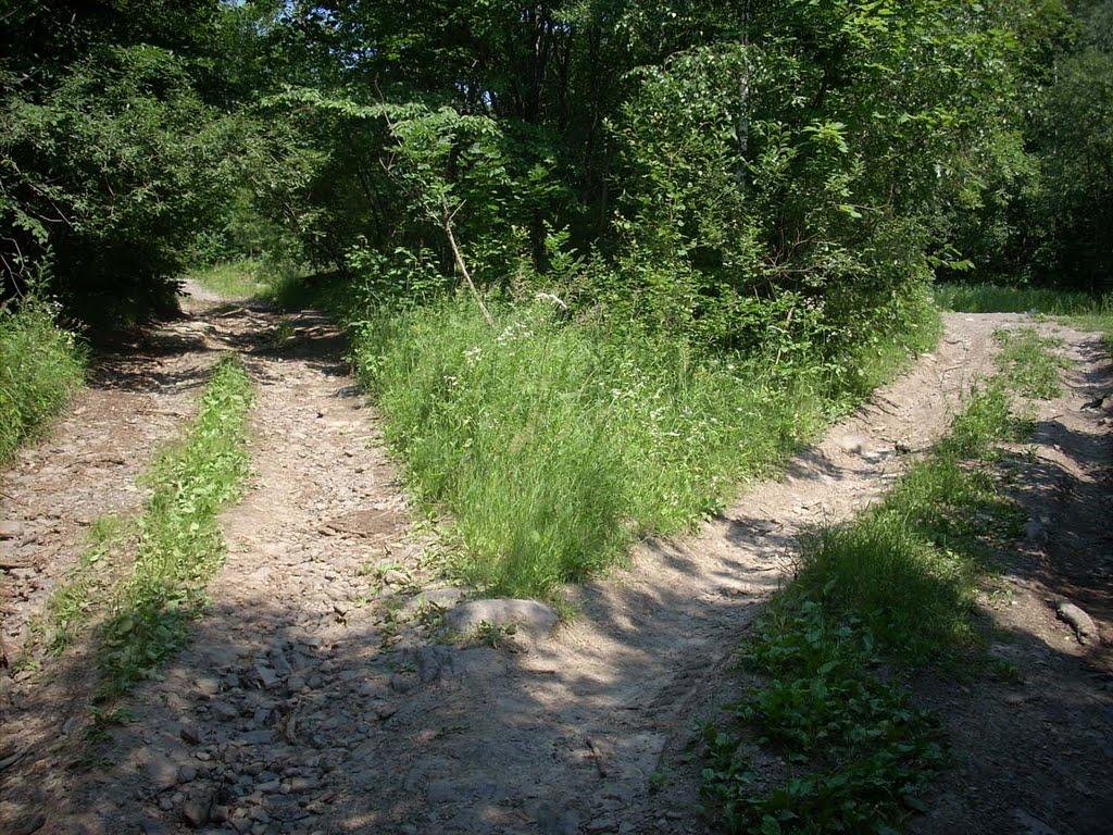 Ворочово з panoramio.com - Ворочово