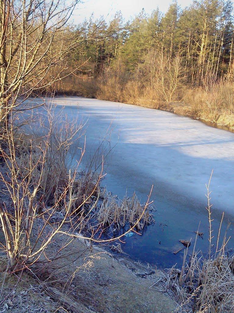 Чмирівка з panoramio.com - Чмирівка
