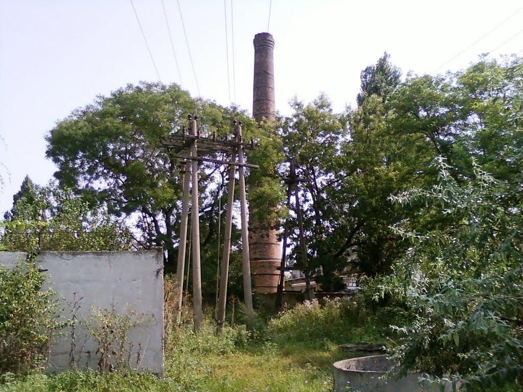 Серпневе з panoramio.com - Серпневое