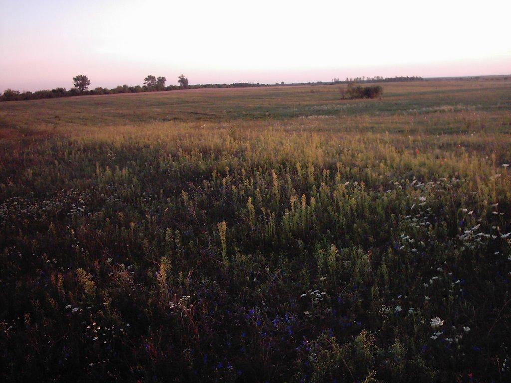 Любомль з panoramio.com - Любомль