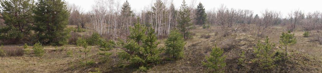 Кряківка з panoramio.com - Кряковка