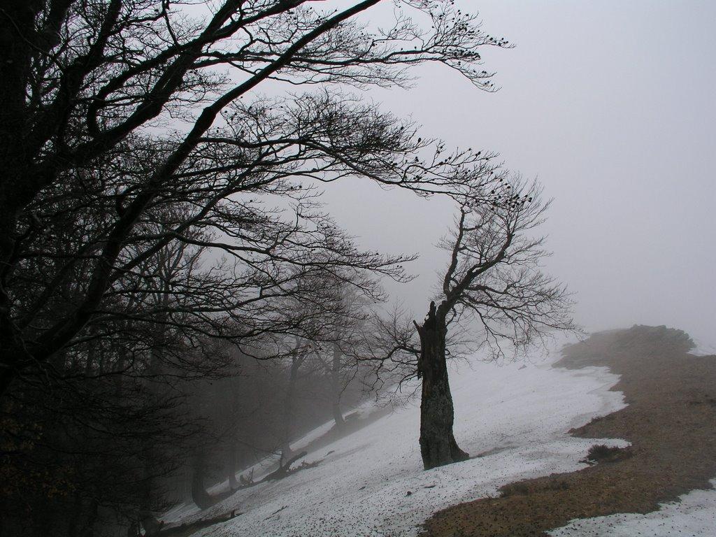 Березники з panoramio.com - Березники