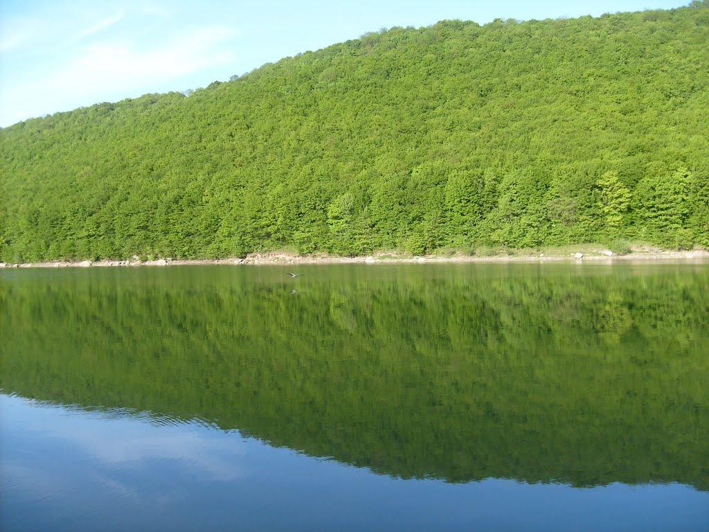 Шебутинці з panoramio.com - Шебутинці