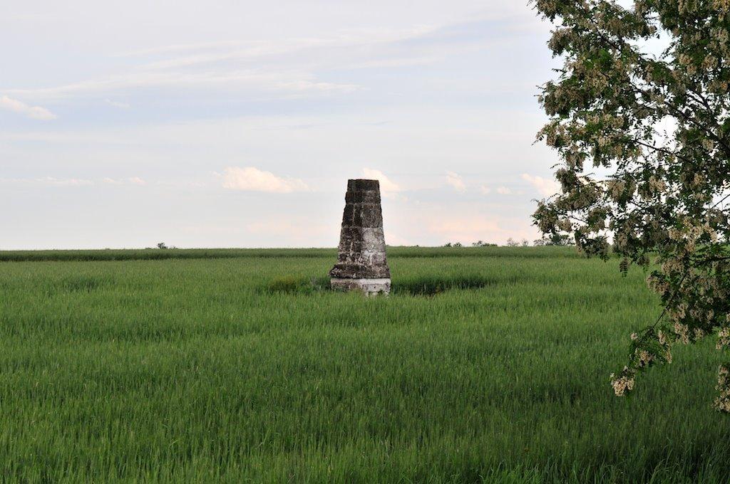 Осокорівка з panoramio.com - Осокорівка
