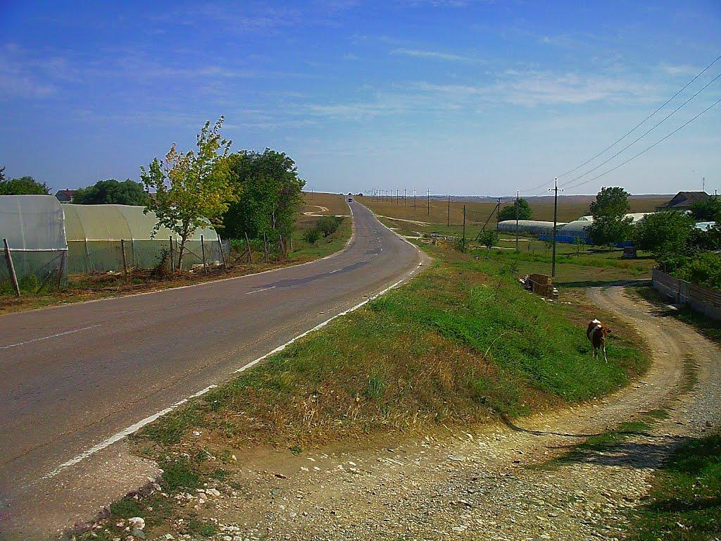 Кочергіне з panoramio.com - Кочергино