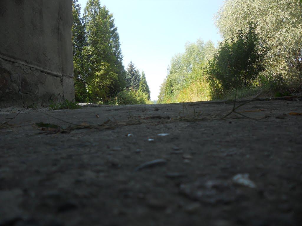 Новий Розділ з panoramio.com - Новый Роздол