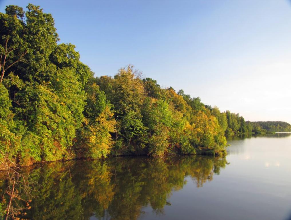 Буки з panoramio.com - Буки