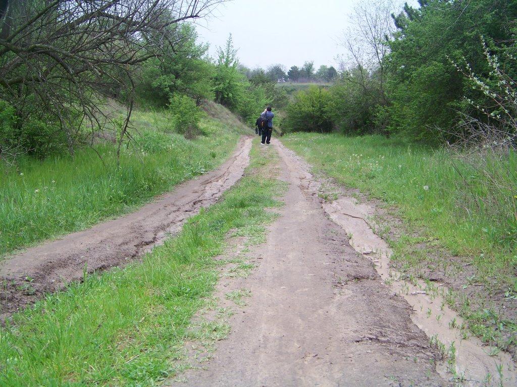 Канівське з panoramio.com - Каневское