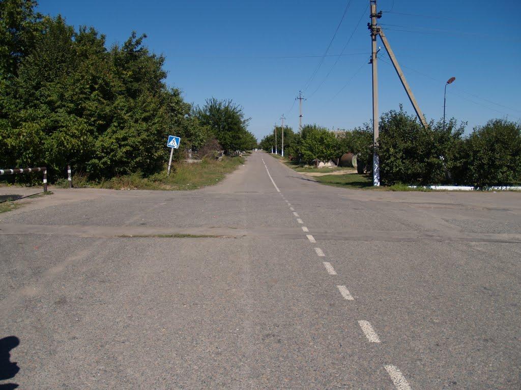 Василівка з panoramio.com - Василівка