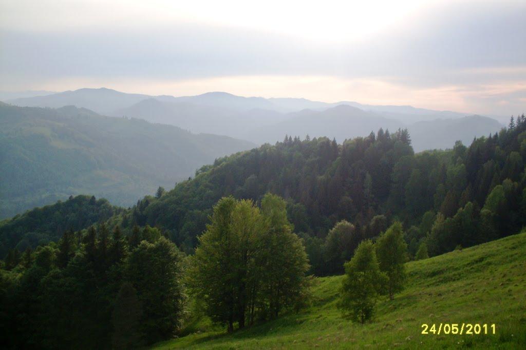 Хорови з panoramio.com - Хорови