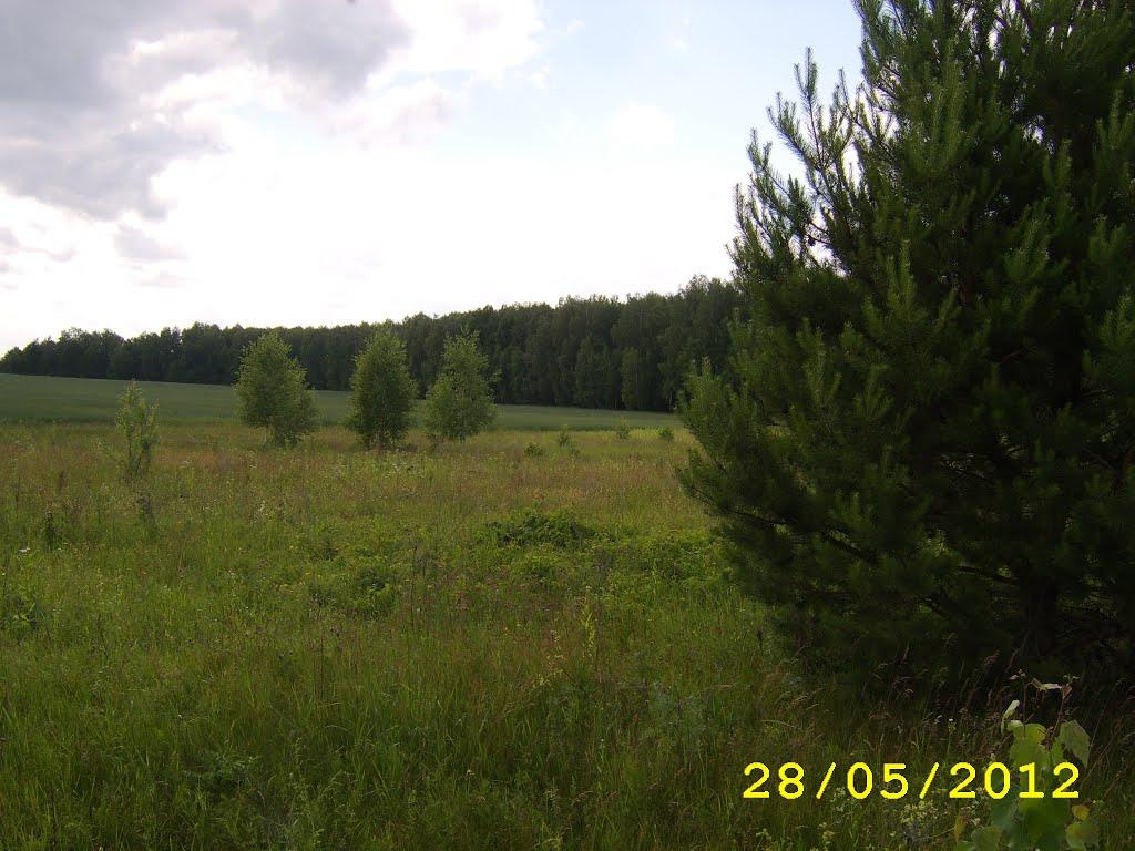 Великий Ліс з panoramio.com - Великий Ліс