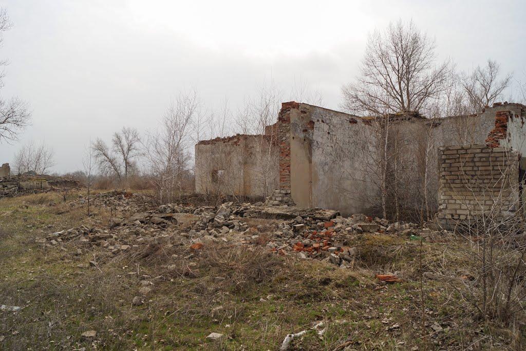 Кряківка з panoramio.com - Кряковка